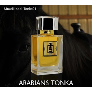 Arabians Tonka - Montale